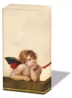 Apteczki i materiały opatrunkowe - Ambiente, Chusteczki Do Nosa 10Szt., Angelo (21,5X22Cm) - miniaturka - grafika 1