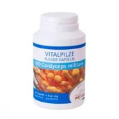 Suplementy naturalne - GRZYBY CORDYCEPS MILITARIS (MACZUŻNIK BOJOWY) BIO 100 KAPSUŁEK (500 mg) - PILZE WOHLRAB 4260261496899 - miniaturka - grafika 1