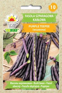 Fasola szp. karł. fioletowostr. PURPLE TEEPEE (wczesna) Phaseolus vulgaris L. - Nasiona i cebule - miniaturka - grafika 1