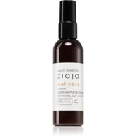 Serum do twarzy - Ziaja ZIAJA BALTIC HOME SPA WELLNESS SERUM DO TWARZY 90ML - miniaturka - grafika 1