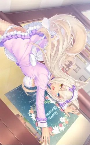 Plakat Anime Manga Nekopara np_071 A1+ (custom)