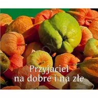 Aforyzmy i sentencje - 176 PERELKA Przyjaciel na dobre i na złe. perełka 176 - miniaturka - grafika 1