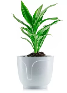 Osłonka Doniczka na kwiaty DO DOMU salonu kuchni TWARZ GŁOWA biała plastik - Donice - miniaturka - grafika 1