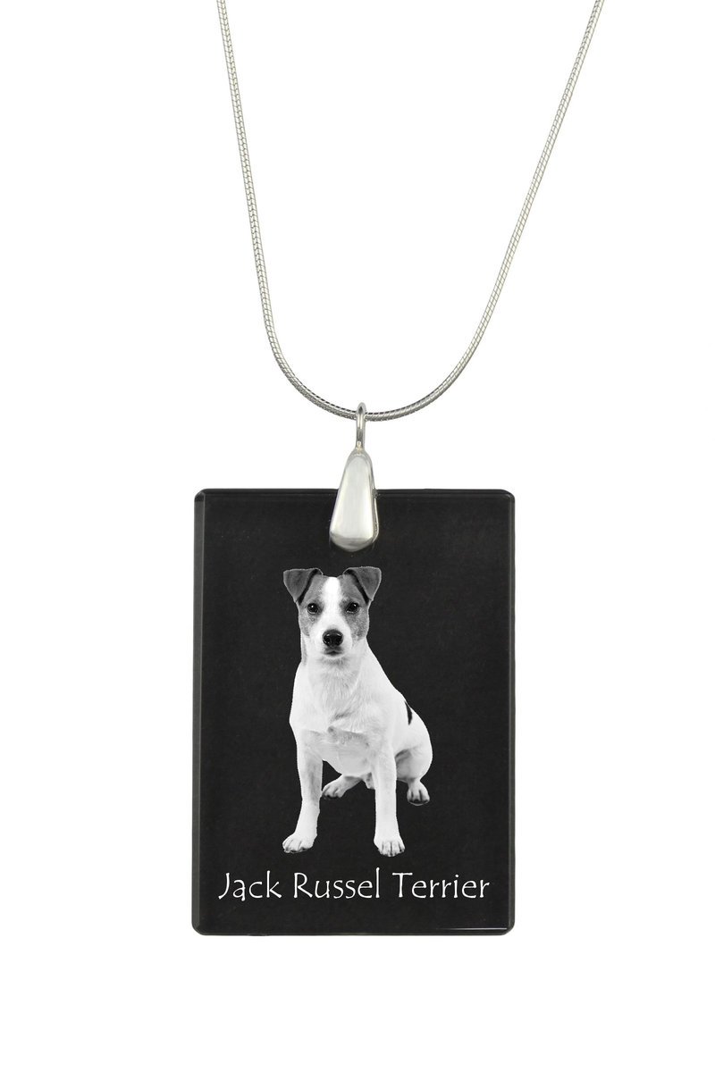 Jack Russell Terrier - kryształowa zawieszka z psem, srebrny naszyjnik ze zdjęciem, personalizowany wisiorek marki Art-Dog