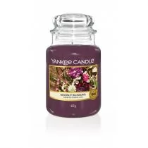 Świece - Yankee Candle ŚWIECA MOONLIT BLOSSOMS 623G - grafika 1