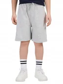 Spodenki męskie - Chlopięce spodenki dresowe 4F M629 25M szary 164 cm - miniaturka - grafika 1