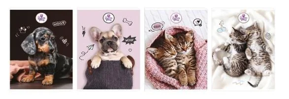 Zeszyt A5 kratka The Sweet Pets 80 kartek 5 sztuk