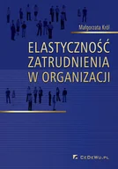 Ekonomia - Elastyczność zatrudnienia w organizacji - miniaturka - grafika 1