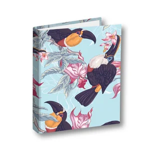 Penmate Segregator A52 na gumkę Tukan - Segregatory - miniaturka - grafika 1