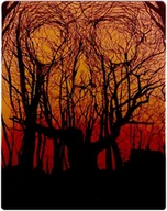 Horrory Blu-Ray - Friday the 13th (Piątek trzynastego) (steelbook) - miniaturka - grafika 1