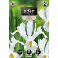 Nasiona i cebule - Irys holenderski White Excelsior 10 sztuk Eden - miniaturka - grafika 1
