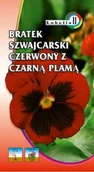 Nasiona i cebule - Bratek szwajcarski czerwony z plamą 0,3g / L / - miniaturka - grafika 1
