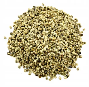 NASIONA KONOPI KONOPIA ZIARNO 200G NATURALNY SKLEP - Przyprawy i zioła sypkie - miniaturka - grafika 1