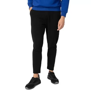 Spodnie Dresowe Męskie 4F H4Z22-Spmd013 20S - Xl - Spodnie sportowe męskie - miniaturka - grafika 1