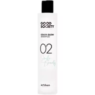 Szampony do włosów - Artego Szampon Do Włosów Farbowanych 02 Color Glow Shampoo 250 ml - miniaturka - grafika 1