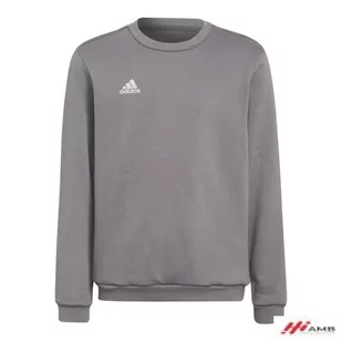 Bluza adidas Entrada 22 Sweat Top Jr H57477 r. H57477*152 - Bluzy damskie - miniaturka - grafika 1