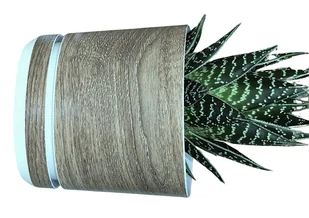 14 cm wzór JASNY DĄB * Doniczka z podstawką * z drenażem * efekt dębowej deski * imitacja drewna * drewniany deseń * styl naturalny * drewnopodobna - Donice - miniaturka - grafika 1