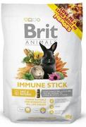 Karma dla gryzoni - Animals Brit Immune Stick for rodents 80g - miniaturka - grafika 1