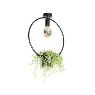 QAZQA Nowoczesna lampa sufitowa czarna ze szklanym okrągłym - Roslini - Oprawy, klosze i abażury - miniaturka - grafika 1