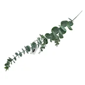 Sztuczne kwiaty - Gałązka Eukaliptusa 71 cm - miniaturka - grafika 1
