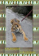 E-booki - literatura faktu - Ewolucjonizacja Krzysztof Jurczyński - miniaturka - grafika 1