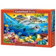 Puzzle - Castorland Puzzle 1000 Dolphins in the Tropics Nowa - miniaturka - grafika 1