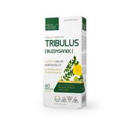 Suplementy erotyczne - Tribulus (Buzdyganek) 700 mg 60 kapsułek MEDICA HERBS - miniaturka - grafika 1