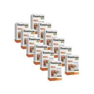 Witaminy i minerały - ALG PHARMA Essetivum Gold - 12x 50caps - miniaturka - grafika 1