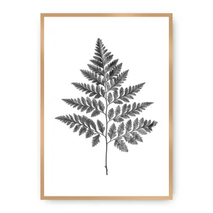 Dekoria Dekoria Plakat Fern Grey 21 x 30 cm Ramka Złota 218A-000-07 - Plakaty Dekoria Dekoria Plakat Fern Grey 21 x 30 cm Ramka Złota 218A-000-07 - Plakaty - miniaturka - grafika 1
