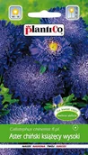 Nasiona i cebule - Aster książęcy niebieski Trawiata 1 g PLANTICO - miniaturka - grafika 1