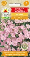 Nasiona i cebule - Gipsówka wytworna różowa nasiona 1 g. - miniaturka - grafika 1