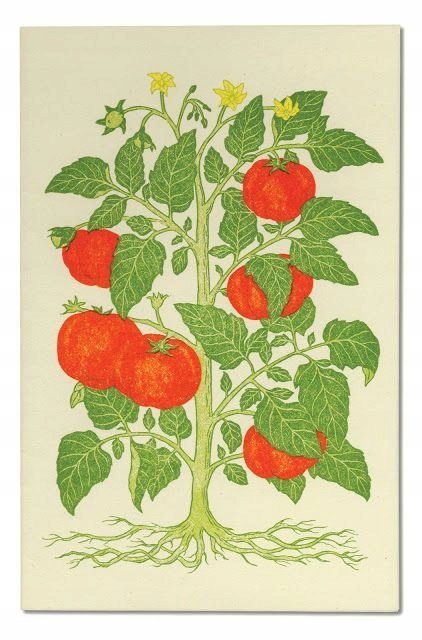 PODKŁADKA POD MYSZ Z Nadrukiem 22x18 cm Owoce Warzywa Vintage Tekst Prezent