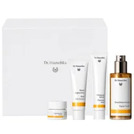 Toniki i hydrolaty do twarzy - Dr. Hauschka Beautiful Face zestaw tonik odświeżający 100ml + krem na dzień 30ml + balsam oczyszczający 75ml + balsam do ust 4.5ml - miniaturka - grafika 1