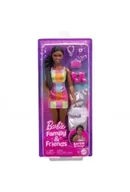 Lalki dla dziewczynek - Barbie Family&Friends Brooklyn JBF42 - miniaturka - grafika 1