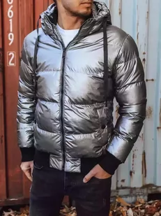 Kurtka męska zimowa z kapturem srebrna Dstreet TX3948-3XL - Kurtki męskie - miniaturka - grafika 1