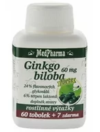 Suplementy diety - Ginkgo biloba FORTE - 60 mg, 67kaps - miniaturka - grafika 1