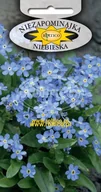 Nasiona i cebule - NIEZAPOMINAJKA ALPEJSKA NIEBIESKA 0,5g - miniaturka - grafika 1