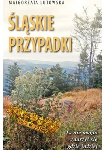 AD REM Śląskie przypadki Małgorzata Lutowska - Powieści - miniaturka - grafika 3