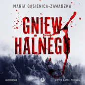 Audiobooki - kryminał, sensacja, thriller - Gniew halnego - miniaturka - grafika 1