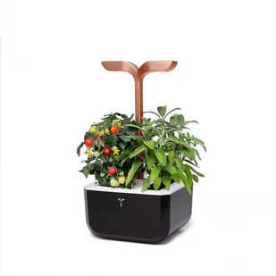 Veritable Doniczka Exky Smart Black&Copper - Systemy inteligentnych domów - miniaturka - grafika 1