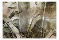 Fototapety - Fototapeta - Bananowa dżungla (rozmiar 100x70) - miniaturka - grafika 1