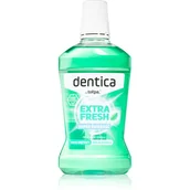 Płyny do płukania jamy ustnej - Dentica Mint Fresh Mouthwash Płyn do płukania jamy ustnej 500 ml 5907608610158 - miniaturka - grafika 1