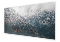 Obrazy i zdjęcia na płótnie - Panel kuchenny HOMEPRINT Krajobraz lasu z lotu ptaka 100x50 cm - miniaturka - grafika 1