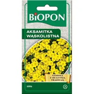 Nasiona i cebule - Aksamitka wąskolistna żółta 0,3 g BIOPON - miniaturka - grafika 1
