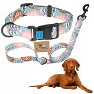 Smycze dla psów - ZESTAW OBROŻA+SMYCZ dla psa WYGODNA REGULOWANA kolorowa bezpieczna klamra L - miniaturka - grafika 1