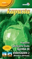 Nasiona i cebule - Kapusta biała Sława z Gołębiewa 2g / L / - miniaturka - grafika 1