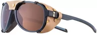 Okulary sportowe - Julbo Julbo Altamont Solar Sunglasses, czarny/beżowy  2022 Okulary JSL17090221 - miniaturka - grafika 1