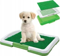 Prześcieradła dla dzieci - Aptel NUXIE Kuweta z trawą dla szczeniąt do nauki czystości 34cm x 47cm x 6cm - miniaturka - grafika 1