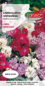 Nasiona i cebule - Nasiona Lewkonia wielopędowa mieszanka 1g - Torseed - miniaturka - grafika 1