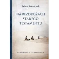 Religia i religioznawstwo - Na bezdrożach Starego Testamentu - miniaturka - grafika 1